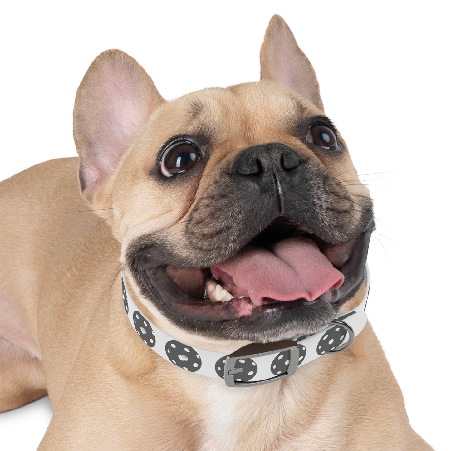 Pickleball Dog Collar