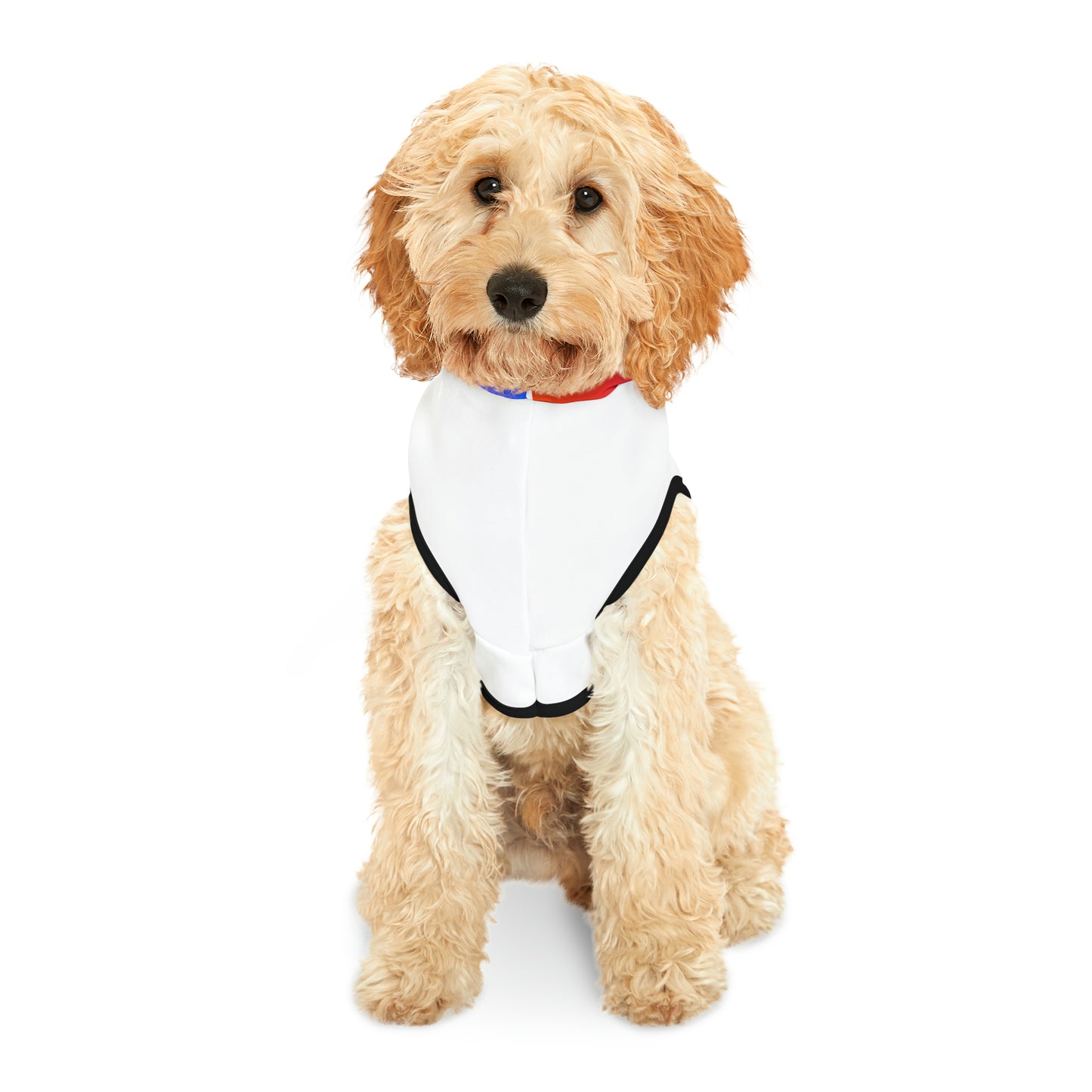 Pickleball Pet Hoodie