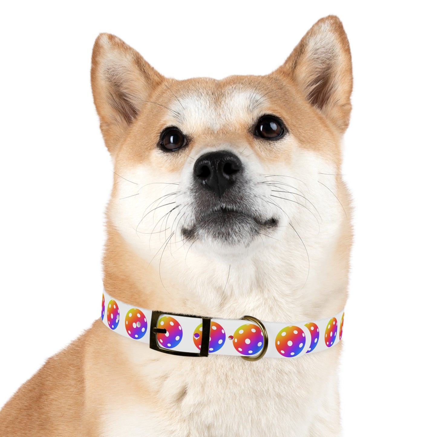 Pickleball Dog Collar