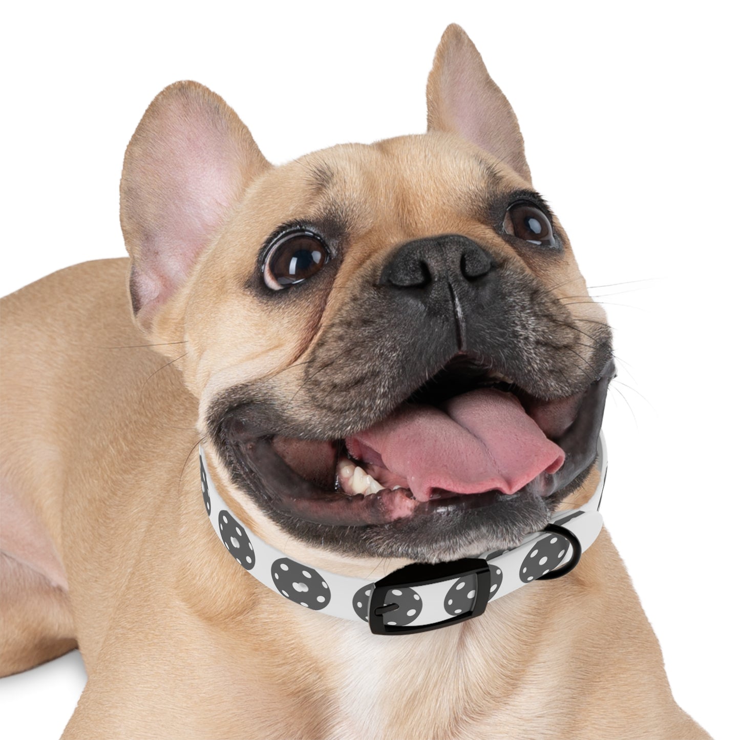 Pickleball Dog Collar