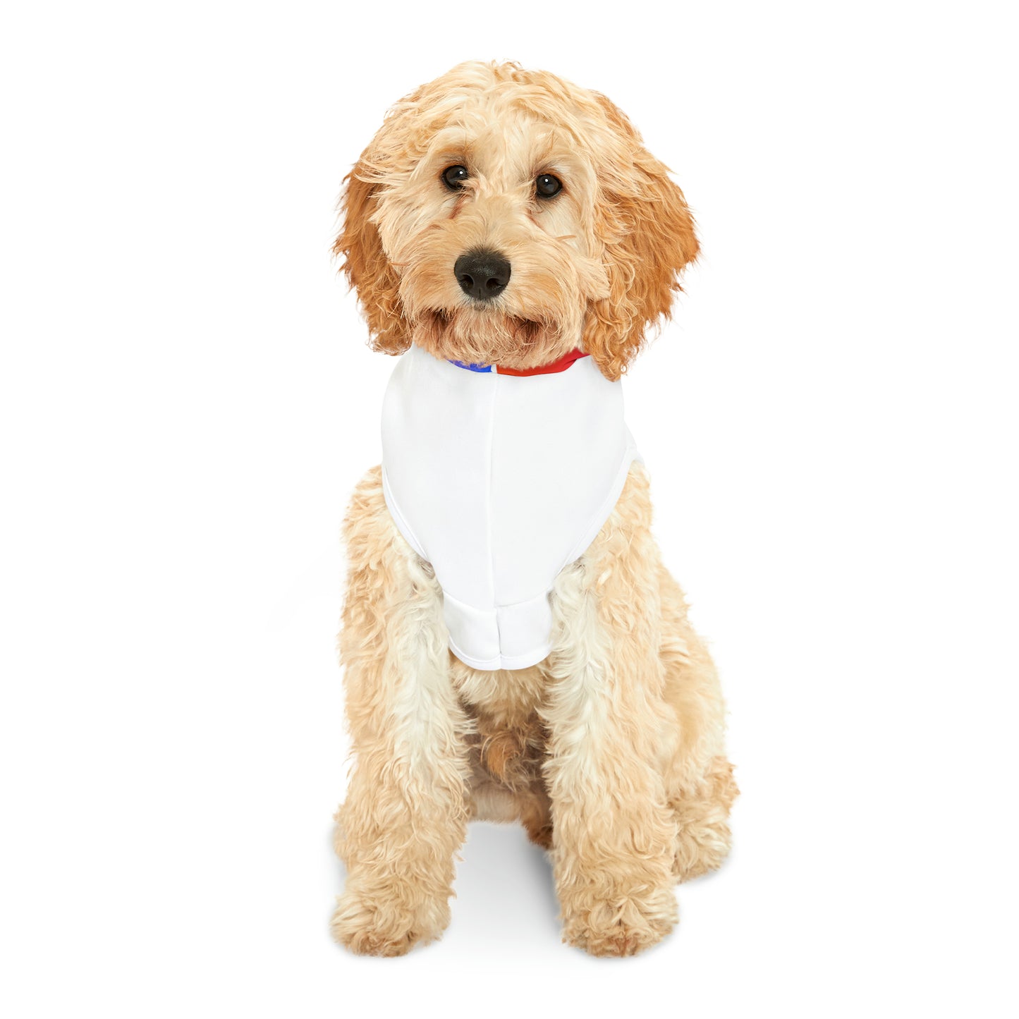 Pickleball Pet Hoodie