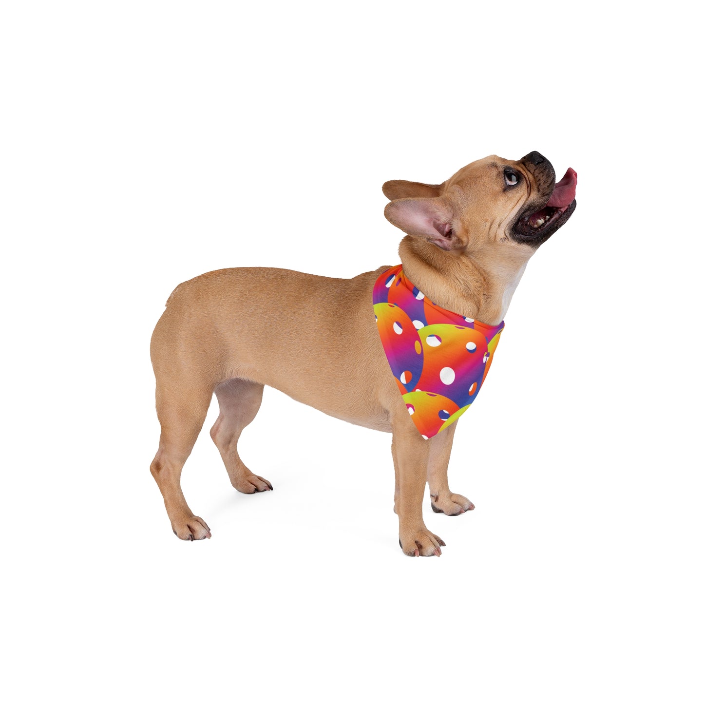 Pickleball Pet Bandana