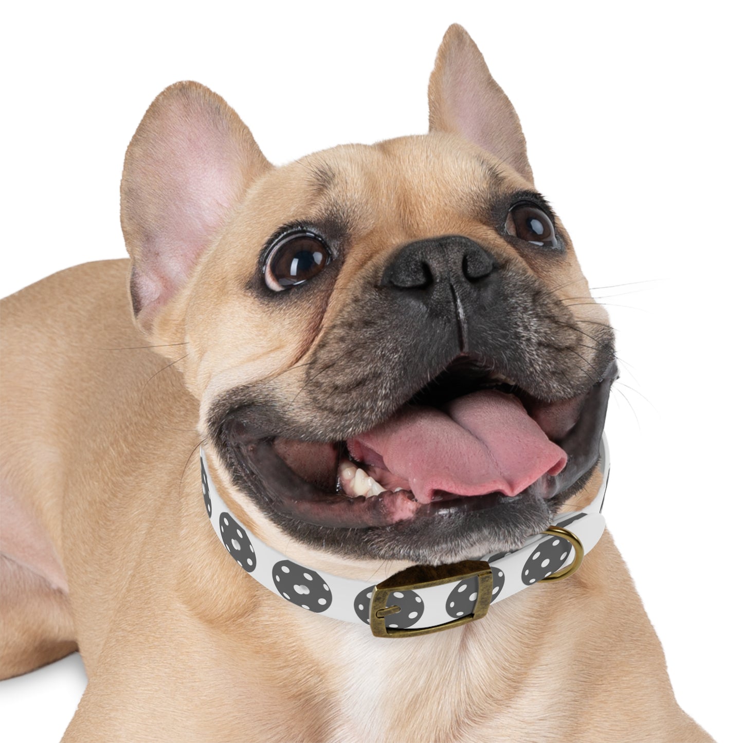 Pickleball Dog Collar