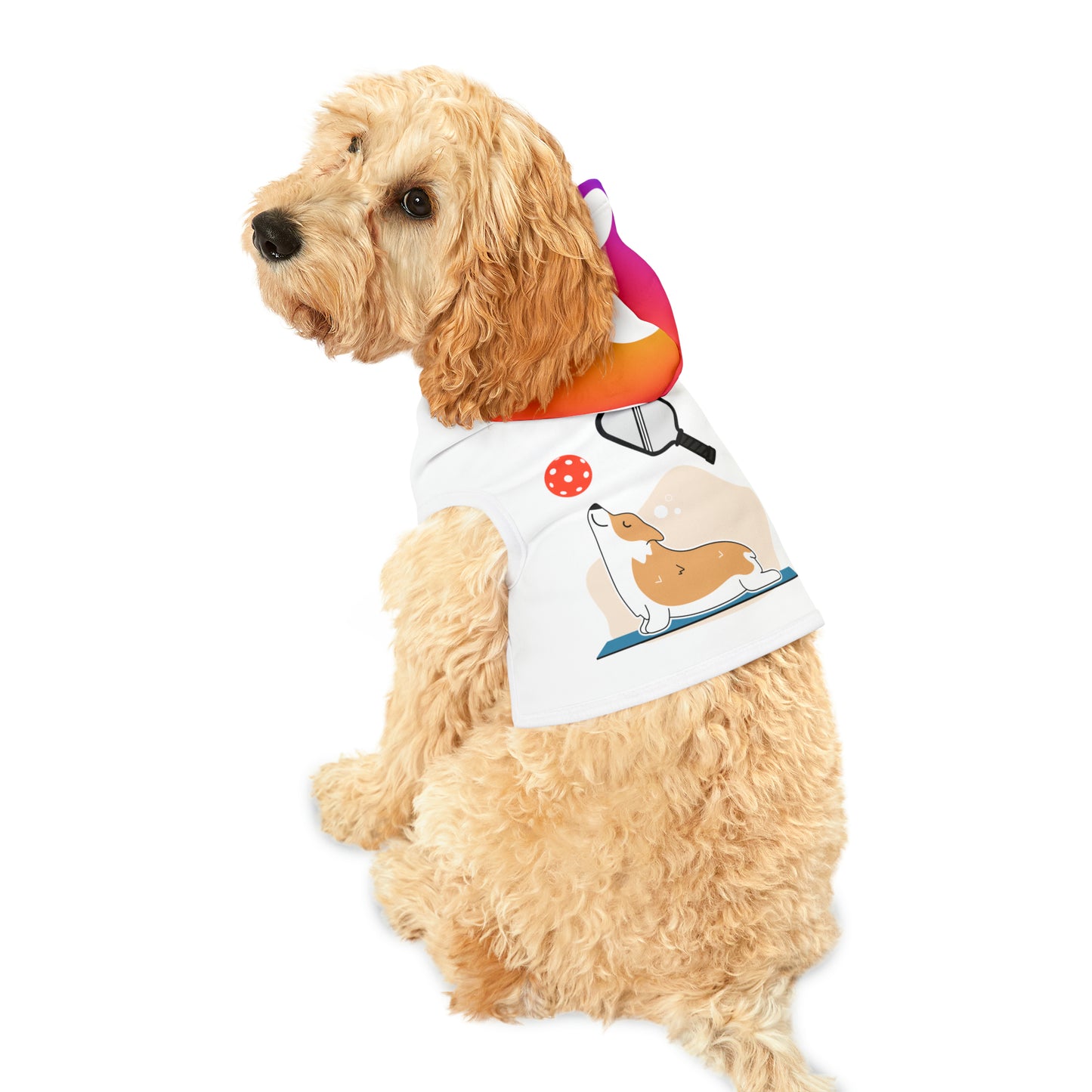 Pickleball Pet Hoodie